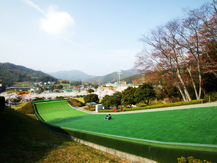 あけぼの公園そり滑りの画像