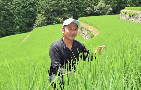 棚田にいる男性の画像