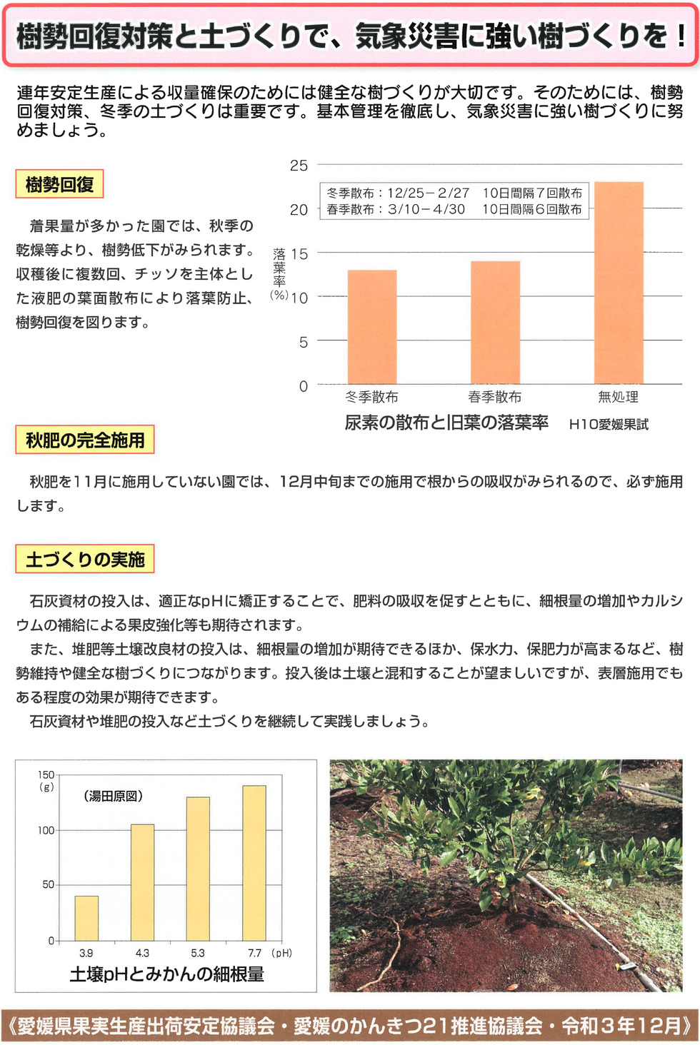 樹勢回復対策の画像